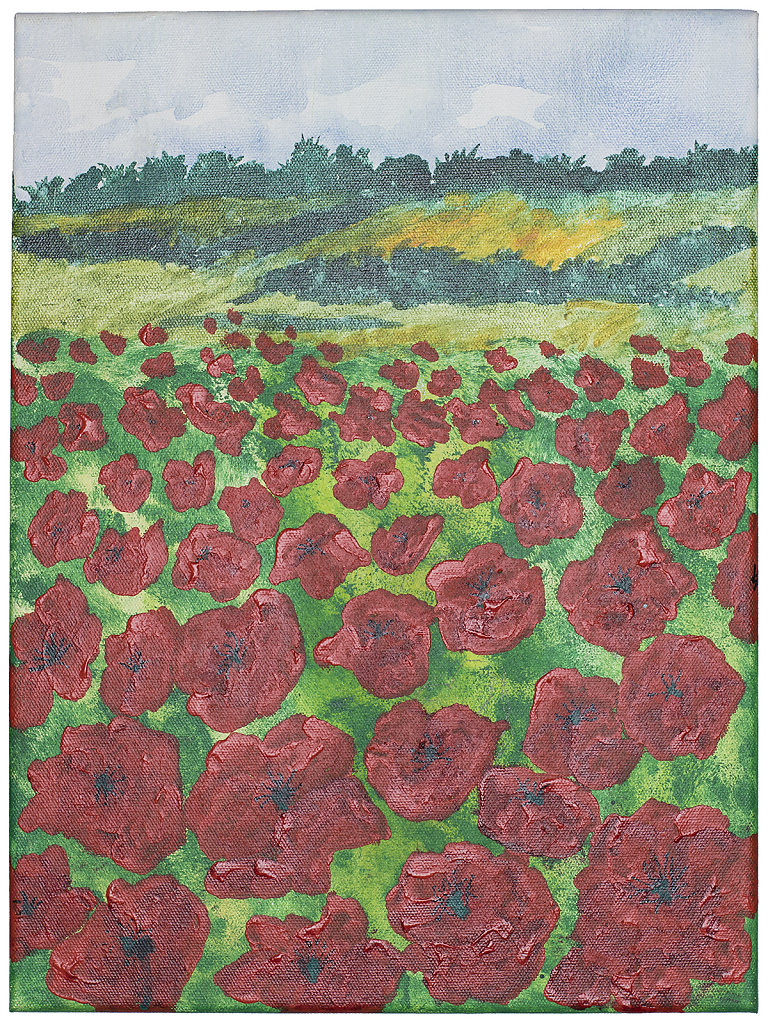mohnblumenfeld.jpg