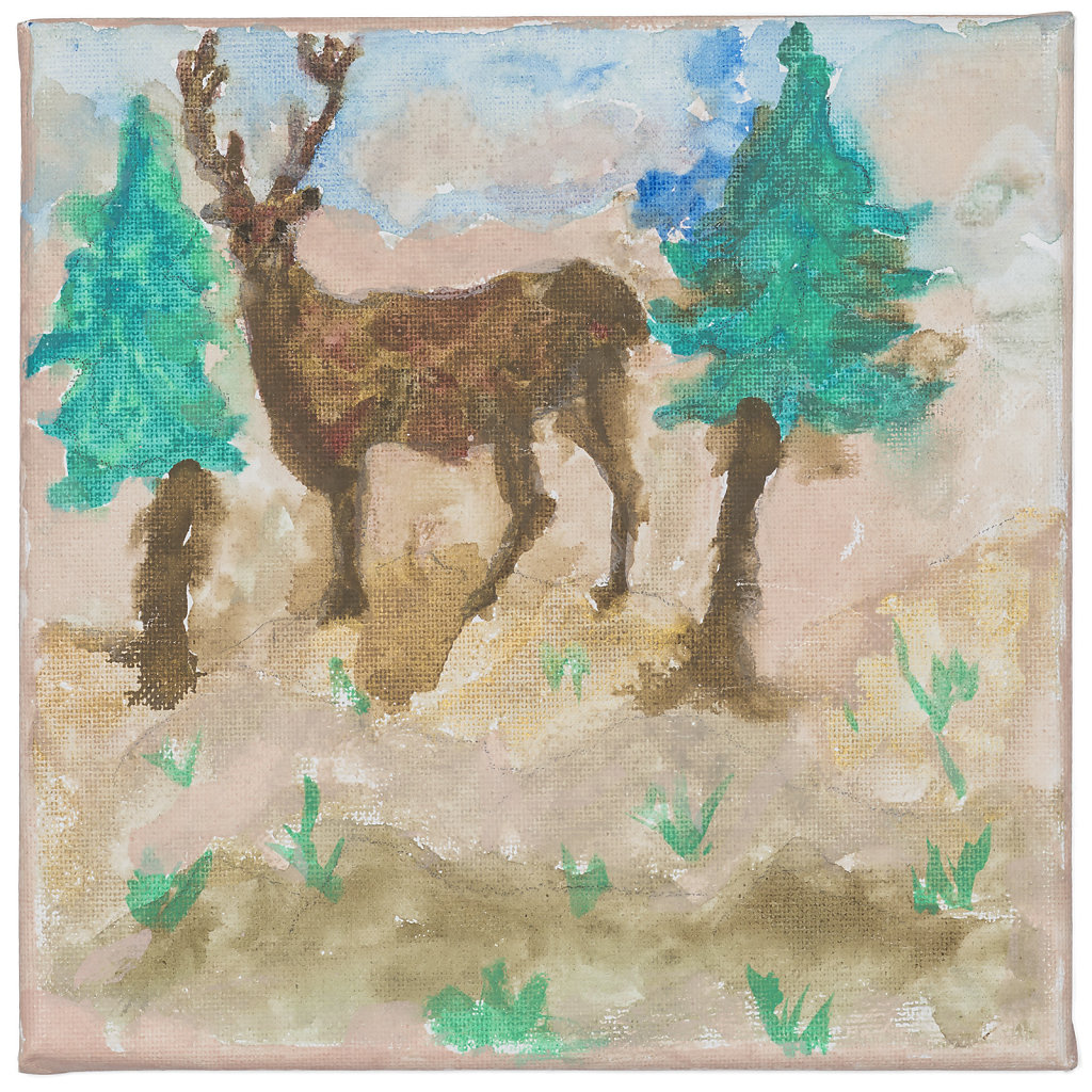 reh-im-wald.jpg