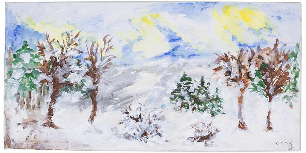winterlandschaft.jpg